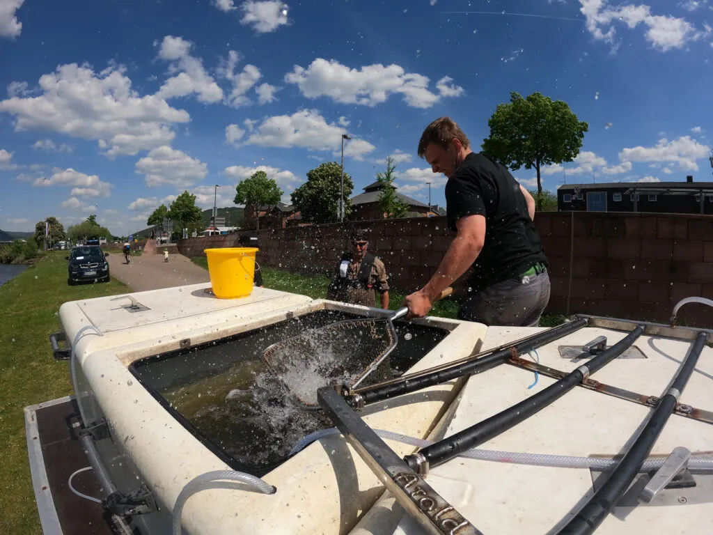 Boot der Fischerzunft bei einer Besatzaktion