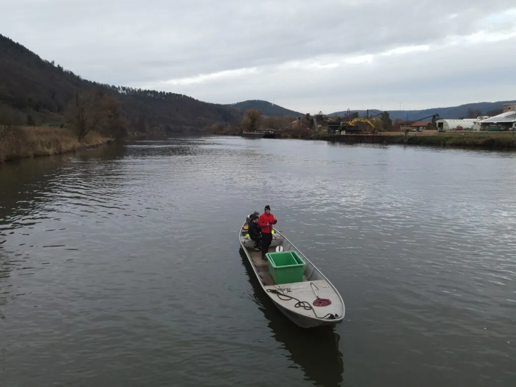 Der Main bei Miltenberg, Blick vom Ufer auf die Wasserstraße