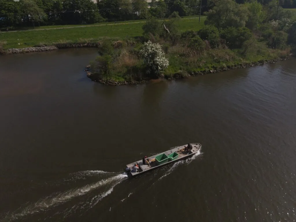 Luftaufnahme des Mains bei Miltenberg mit Besatzboot der Fischerzunft